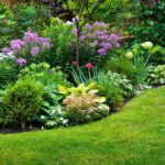 Cómo crear un jardín de flores espectacular en tu patio trasero