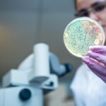 Descubrimiento científico revela la influencia del microbioma en la salud digestiva